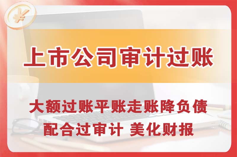 卫辉上市公司审计过账